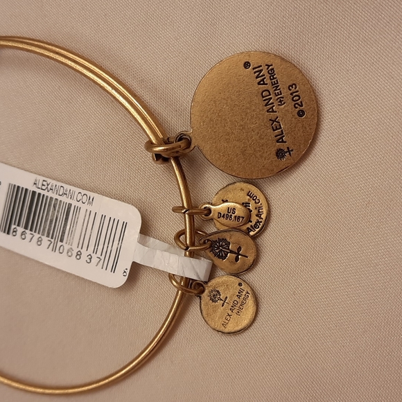 Alex and Ani Scorpio Zodiac Bracelet - Picture 8 of 9